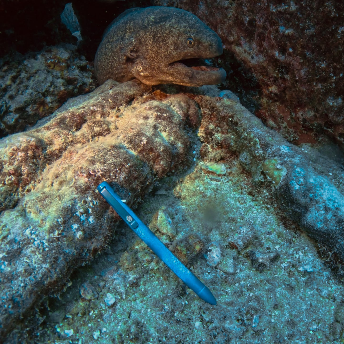 Deep Sea Seasonal Release