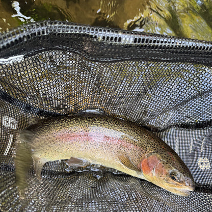 Trout Bolt Action Pen